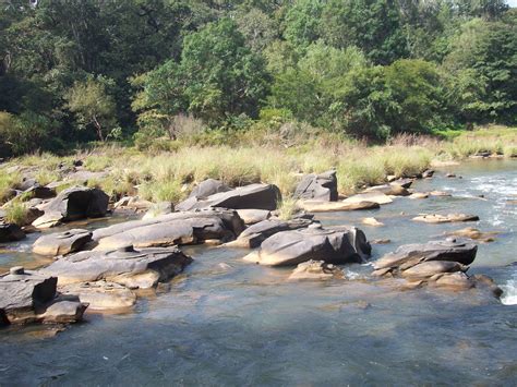 Gardentropics Wonderful Western Ghats