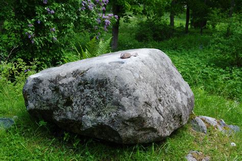 Ärligt Och Härligt Om Trädgård Och Natur Stiligt Med Sten I Trädgården