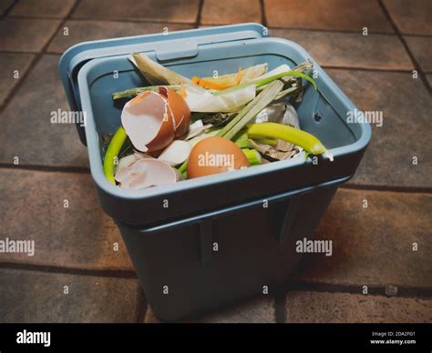 Separate Waste Collection Bin Full Of Organic Waste Recycling