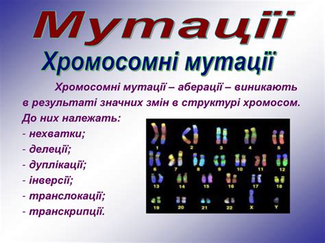 Мутації Генні (крапкові) Хромосомні Геномні