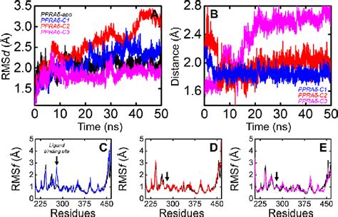 Molecular dynamics simulation in terms of RMSD and RMSF for PPARδ apo