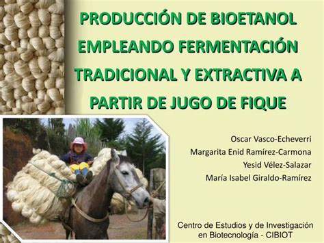 Ppt Producci N De Bioetanol Empleando Fermentaci N Tradicional Y