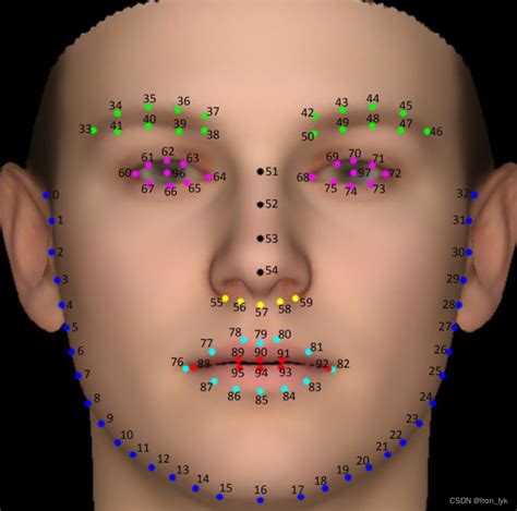 人脸68、29、21、14、5关键点标注序号及对应关系aflw怎么标注 Csdn博客