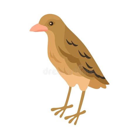 Rufous Hornero Bird Composition Stock Vector - Illustration of wood ...