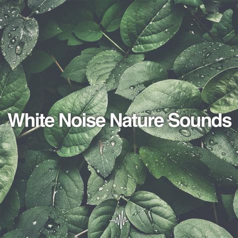 White Noise Nature Sounds For Sleep Meditation And Relaxation Album