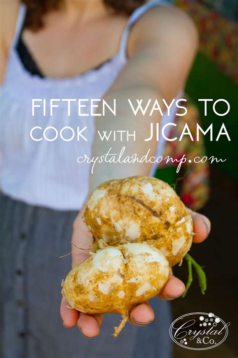 15 Jicama Recipes