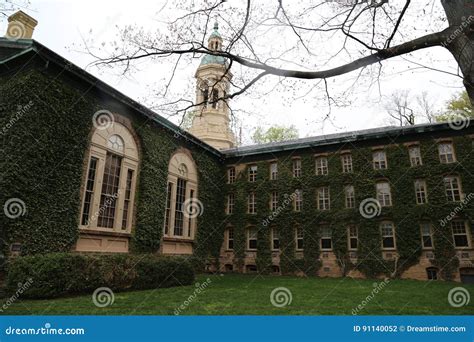 Princeton University stock photo. Image of tree, education - 91140052