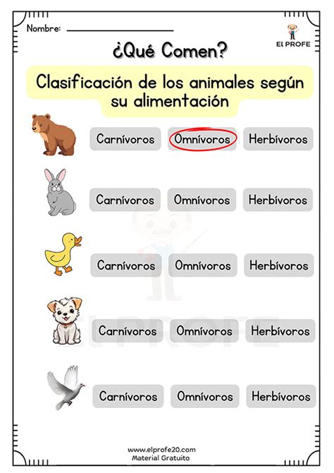 Clasificación de los animales según su alimentación