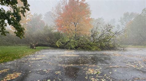 Heavy Rain And Strong Winds Bring Down Trees Knock Out Power For