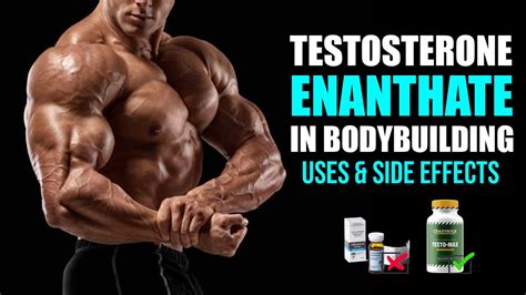 Testosterone Enanthate In Bodybuilding Uses And Side Effects Youtube