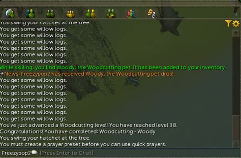 Woodcutting Pet Woody At 37 Wc Anyone Know Rough Chances Rrunescape