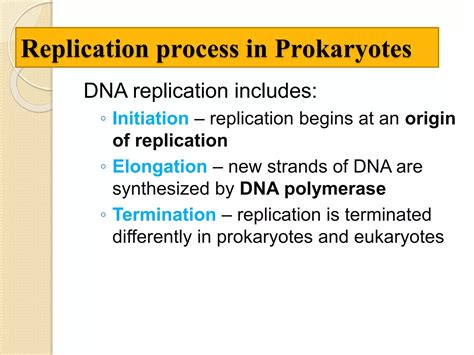 Dna Replication In Prokaryotes Ppt