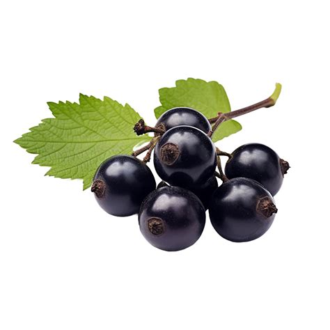 AI Generated Blackcurrant Isolated On Transparent Background 36292802 PNG