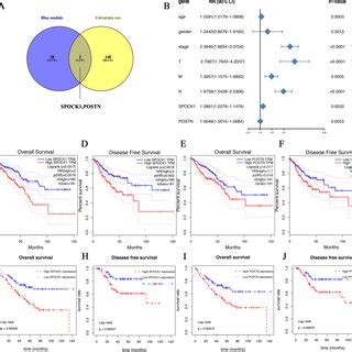 Identification And Validation Of Key Prognostic Genes A Venn Plots