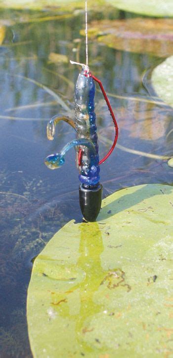 Best Bait For Largemouth Bass Tricks4u101