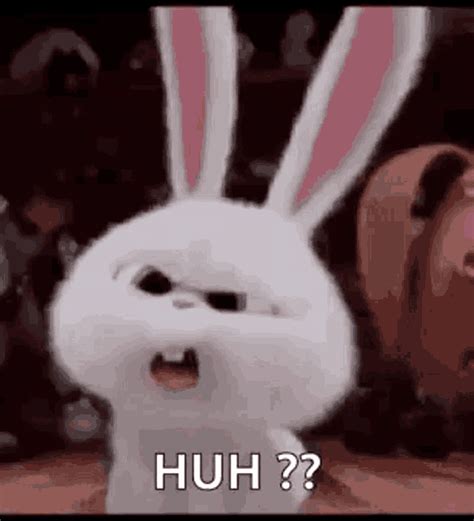 Huh Confused GIF - Huh Confused Funny - Discover & Share GIFs