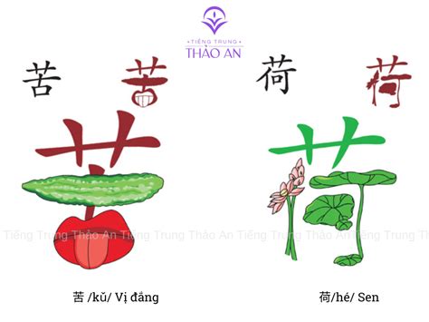 Học từ vựng tiếng Trung qua Hình ảnh (phần 1) – Tiếng Trung Thảo An