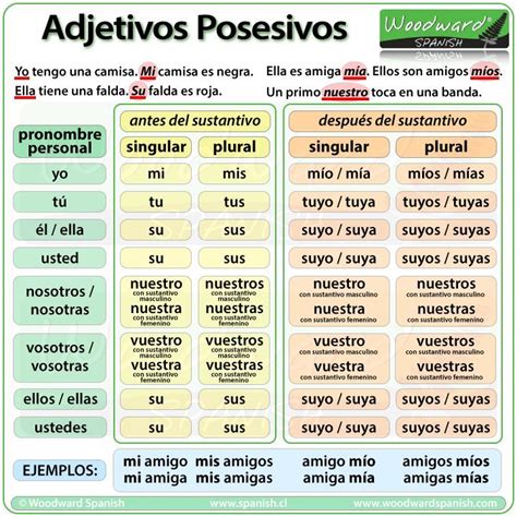 Los Adjetivos Posesivos En Español Possessive Adjectives In Spanish Adjetivo Posesivo