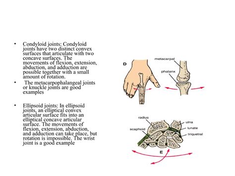 Joints of-upper-limb | PPT