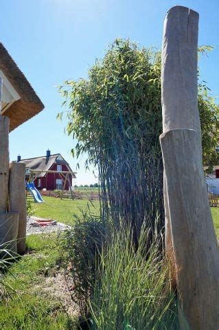 Reethaus Nicole Mit Umz Unten Garten Spielplatz Sauna Kamin Wlan