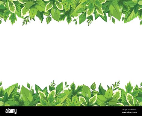 Vector Horizontal Seamless Background With Green Leaves Stock Vector