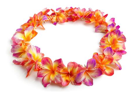 Premium Photo | Hawaiian oval lei necklace isolated on white background 