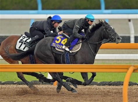 【大阪杯】クロノジェネシス仕上がり万全 馬体成長で「大人の女性に」競馬・レースデイリースポーツ Online