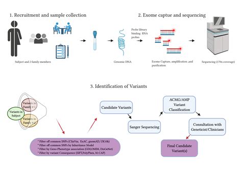 Jcm Free Full Text Whole Exome Sequencing To Identify Potential