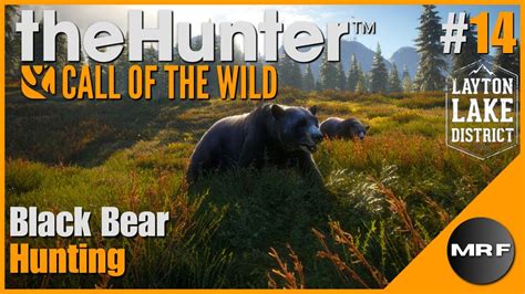 Black Bear Hunting | Layton Lakes #14 | theHunter: Call Of The Wild ...