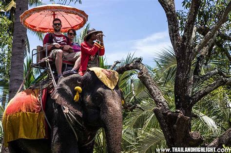 Elephant Ride And Floating Market Tour Bangkok