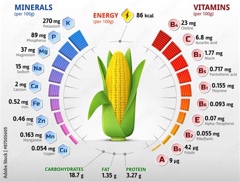 Vitamins and minerals of corn cob. Ear of maize nutrition facts Stock ...