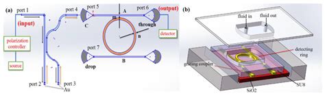 Applied Sciences Free Full Text Optical Waveguide Refractive Index Sensor For Biochemical