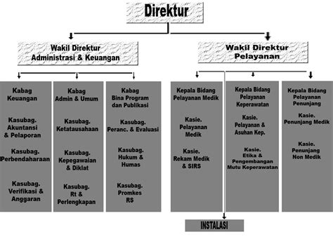 Contoh Struktur Organisasi Rumah Sakit Tipe D Koleksi Gambar