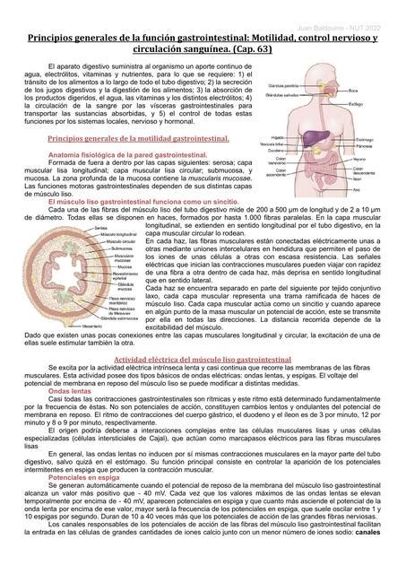 Fisiolog A De La Motilidad Gastrointestinal Juan Baldovino Udocz