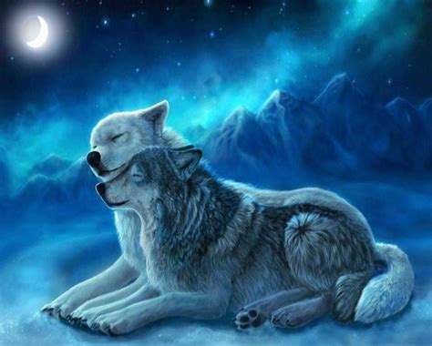 Fantasy Wolf Süß Hintergrundbilder 75 Wolves Ideas Wolf Art Wolf