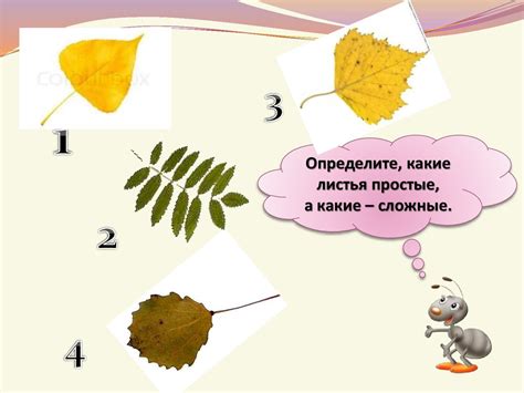 Окружающий мир - презентация онлайн