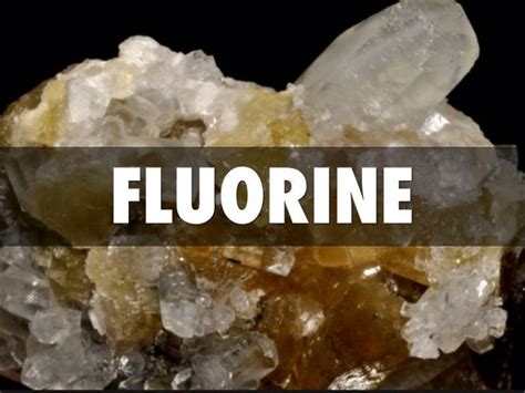 Fluorine (F): Properties & Uses – StudiousGuy