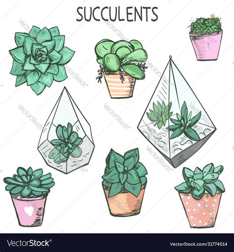 Set Cute Hand Drawn Succulent Plants In Pots Vector Image