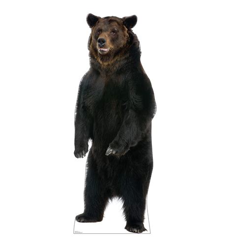 Advanced Graphics Brown Bear Life Size Cardboard Cutout Standup New