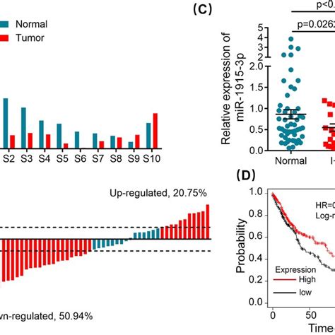 Mir 1915 3p Is Down Regulated In Nsclc Tissues And Inversely Correlated