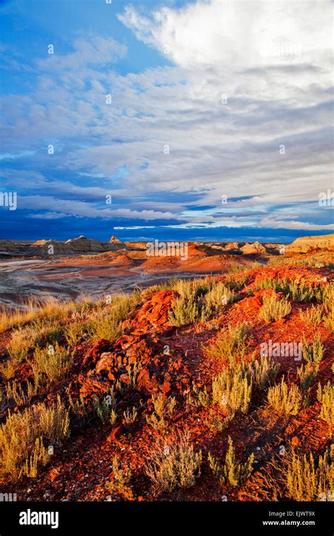 The Bisti De Na Zin Wilderness Area Near Farmington New Mexico Is A