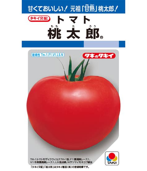 桃太郎 トマト ｜ 品種カタログ ｜ タキイの野菜【タキイ種苗】