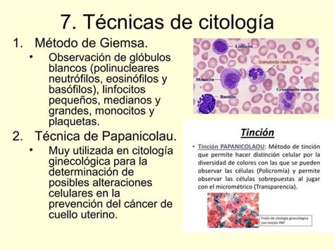 Principales tinciones en el laboratorio de anatomía patológica PPT