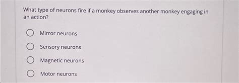 solved  type  neurons fire   monkey observes cheggcom