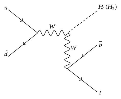 Lowest Order Feynman Diagrams For PptH1 H2 B In The U 1 B L Model