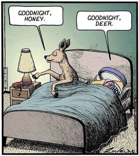 Good Night Honey Good Night Deer Funny Puns Funny Cartoons Funny