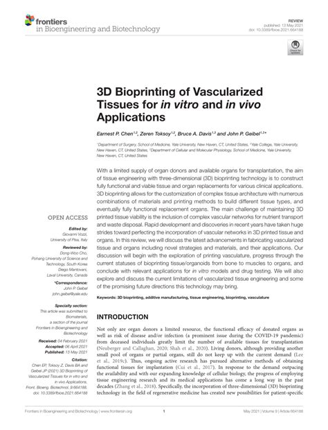 Pdf D Bioprinting Of Vascularized Tissues For In Vitro And In Vivo