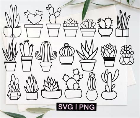 Succulent Clipart Succulent Svg Bundle Cactus Svg Bundle Cacti Svg