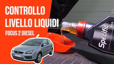 Controllo E Rabbocco Livello Liquidi Focus Tdci Youtube