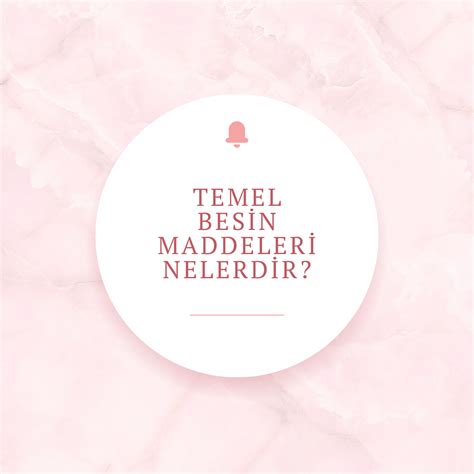 Temel Besin Maddeleri Nelerdir Ne Demek Z T Anlam E Anlam